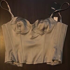 Aritzia Satin Bustier Top - Silver